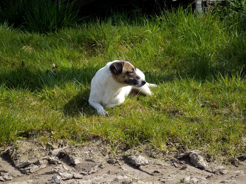 Atomic bombe du pont du riot d'Esnes