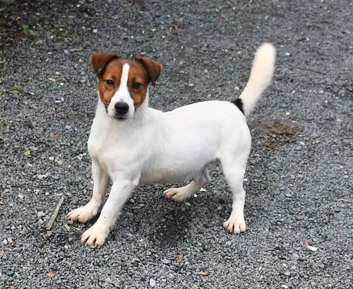 Valdo du pont du riot d'Esnes